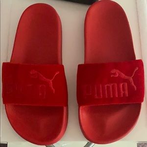 Red Pumas Slides